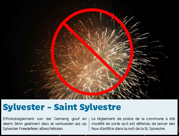 Sylvester - Saint Sylvestre